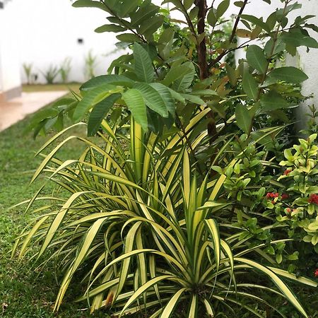 Luvi'S Villa Galle Ngoại thất bức ảnh
