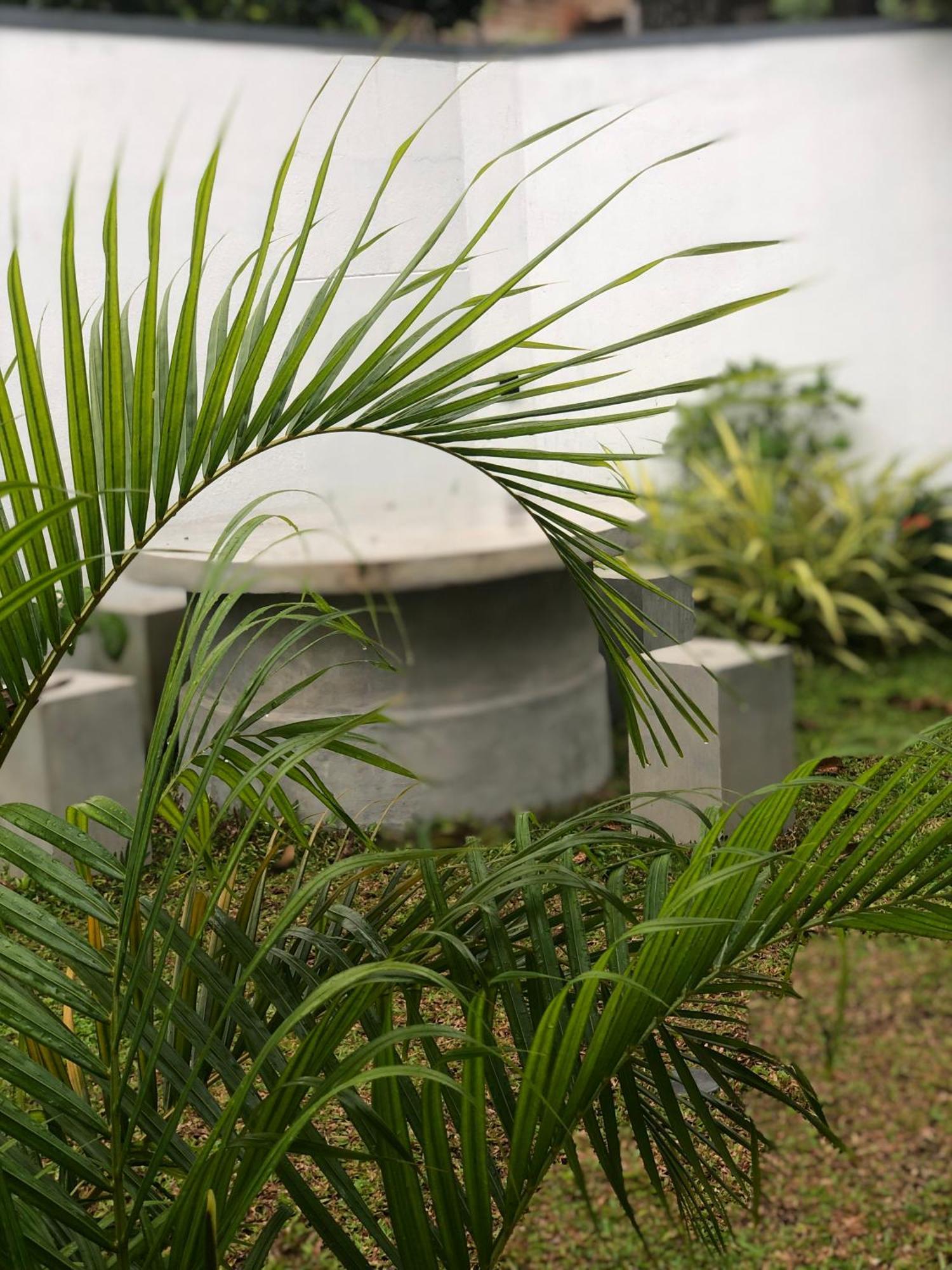 Luvi'S Villa Galle Ngoại thất bức ảnh