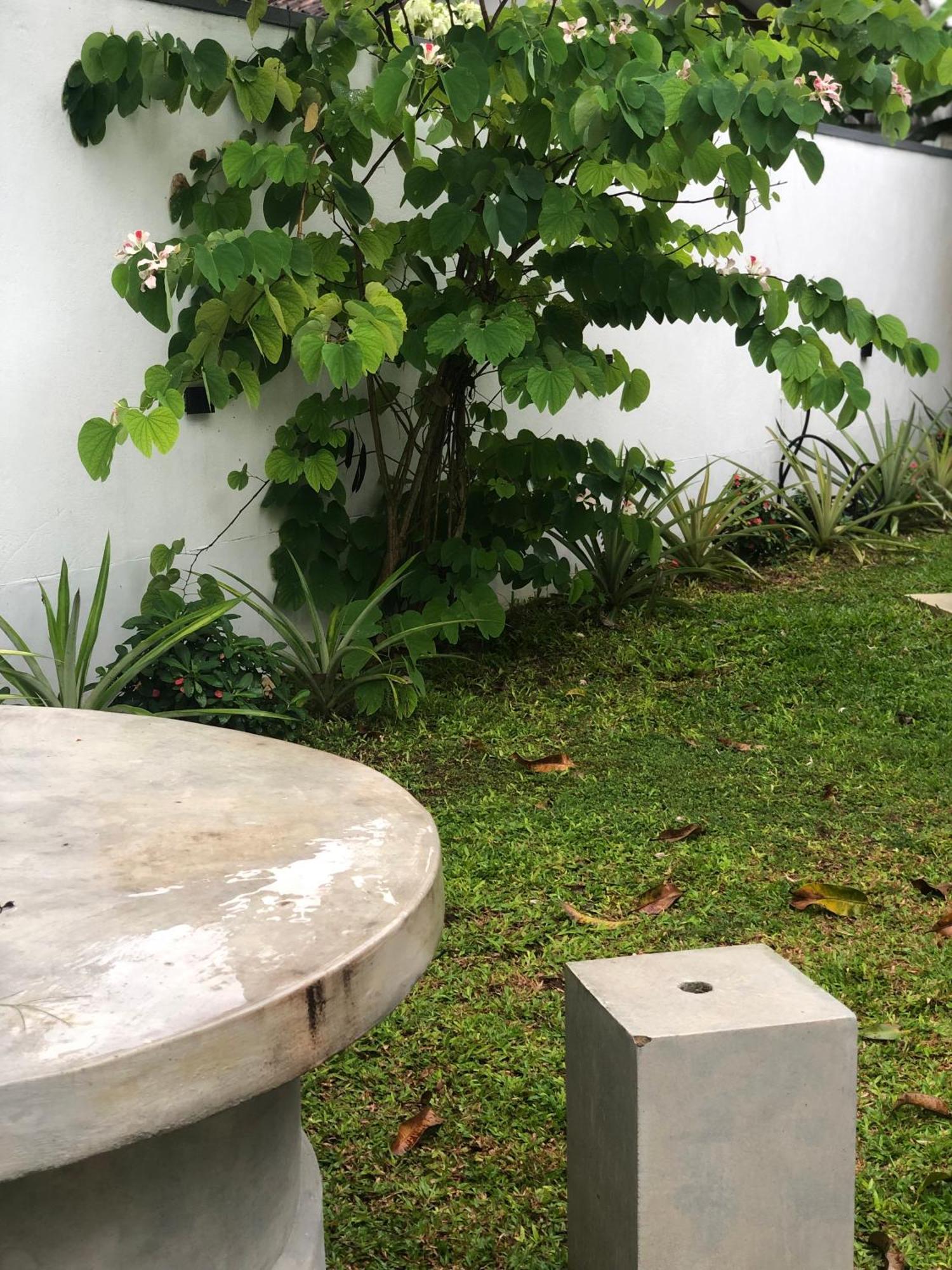 Luvi'S Villa Galle Ngoại thất bức ảnh