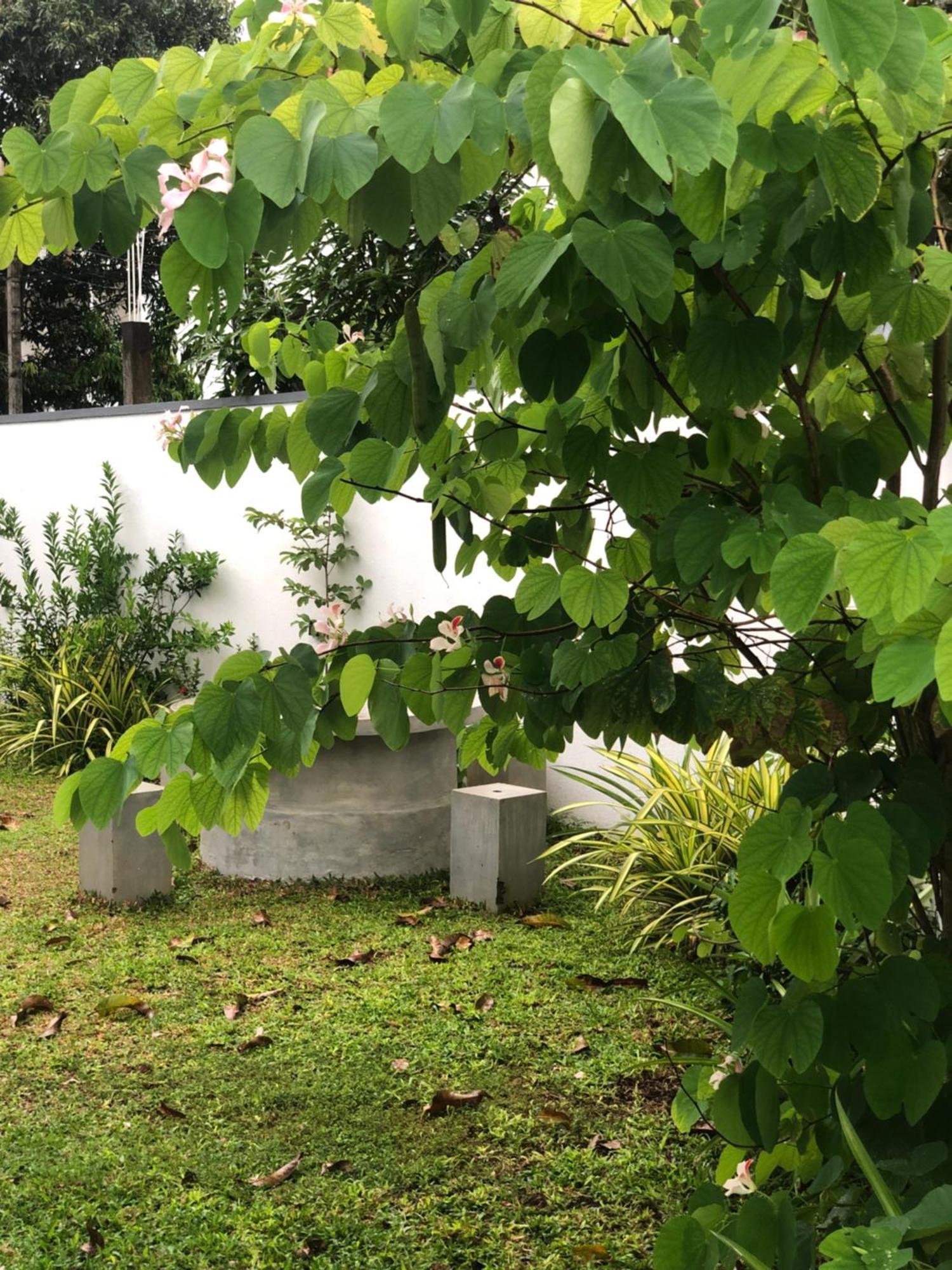 Luvi'S Villa Galle Ngoại thất bức ảnh