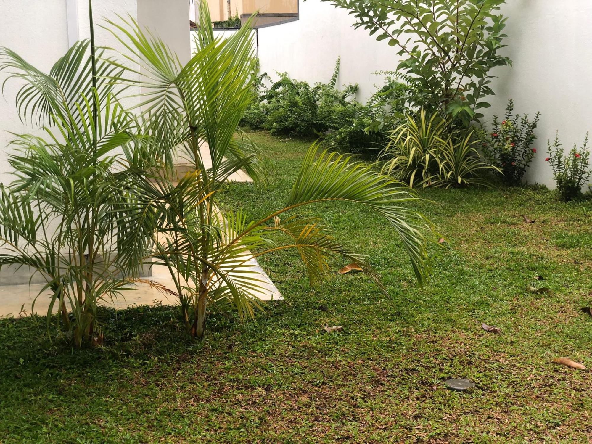 Luvi'S Villa Galle Ngoại thất bức ảnh