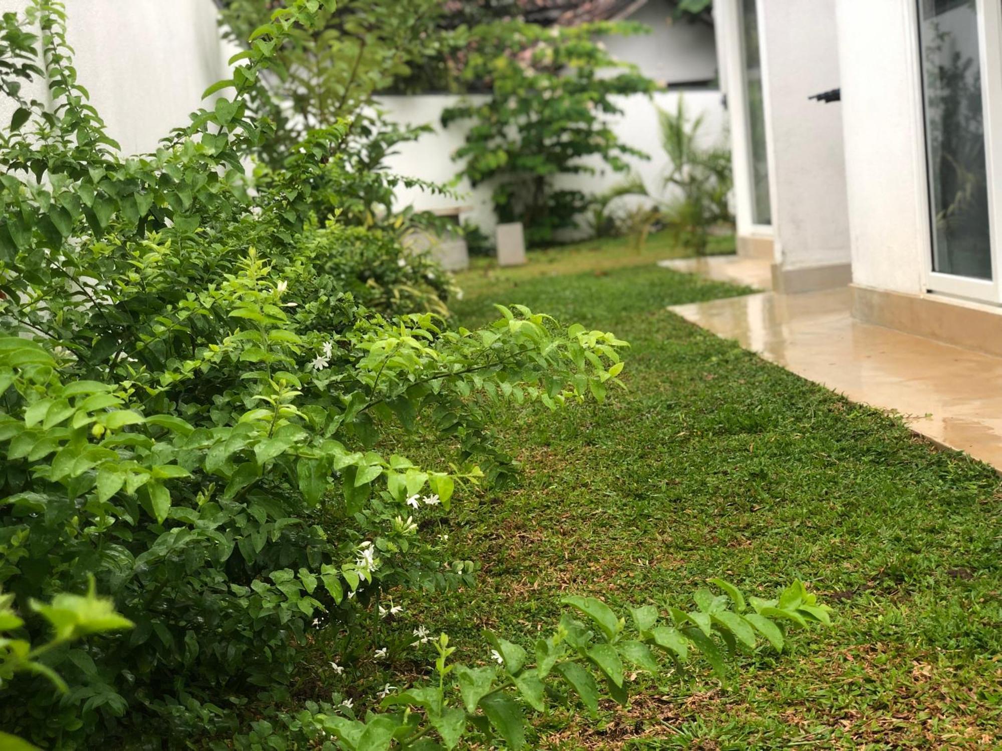 Luvi'S Villa Galle Ngoại thất bức ảnh