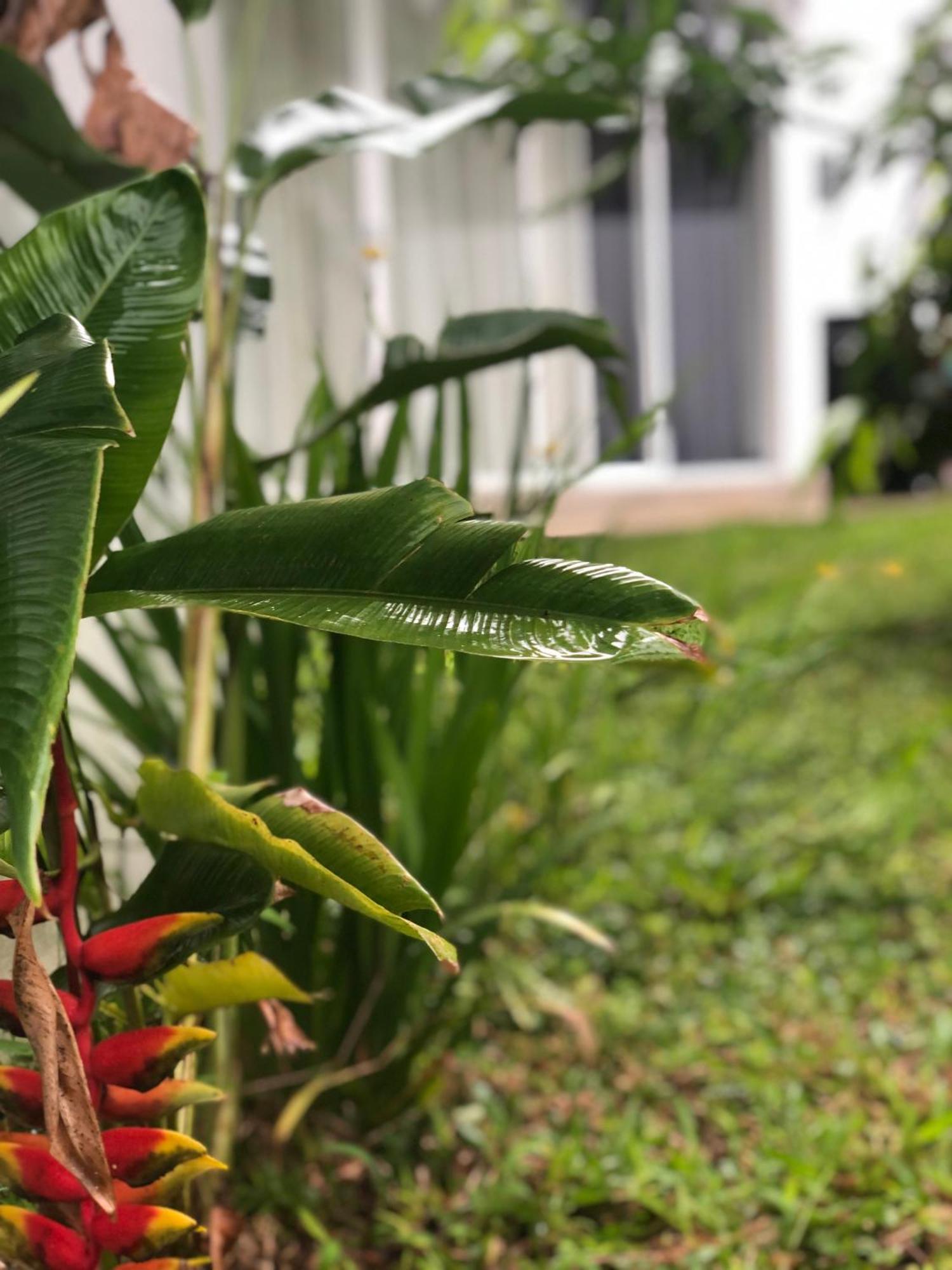 Luvi'S Villa Galle Ngoại thất bức ảnh