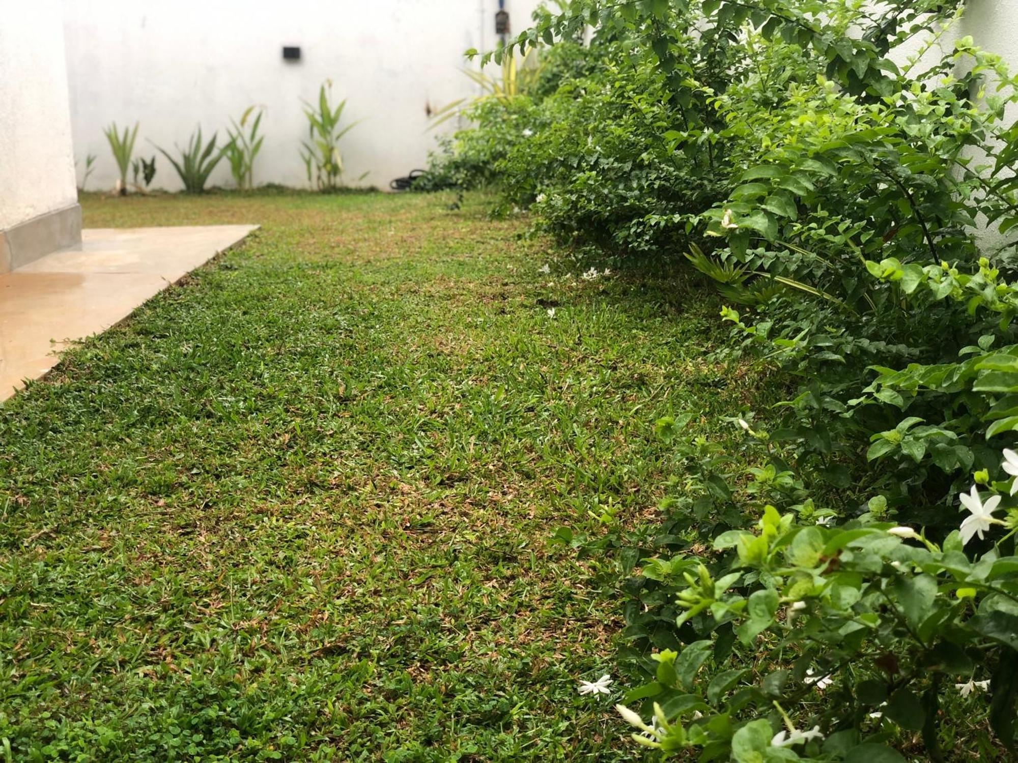 Luvi'S Villa Galle Ngoại thất bức ảnh