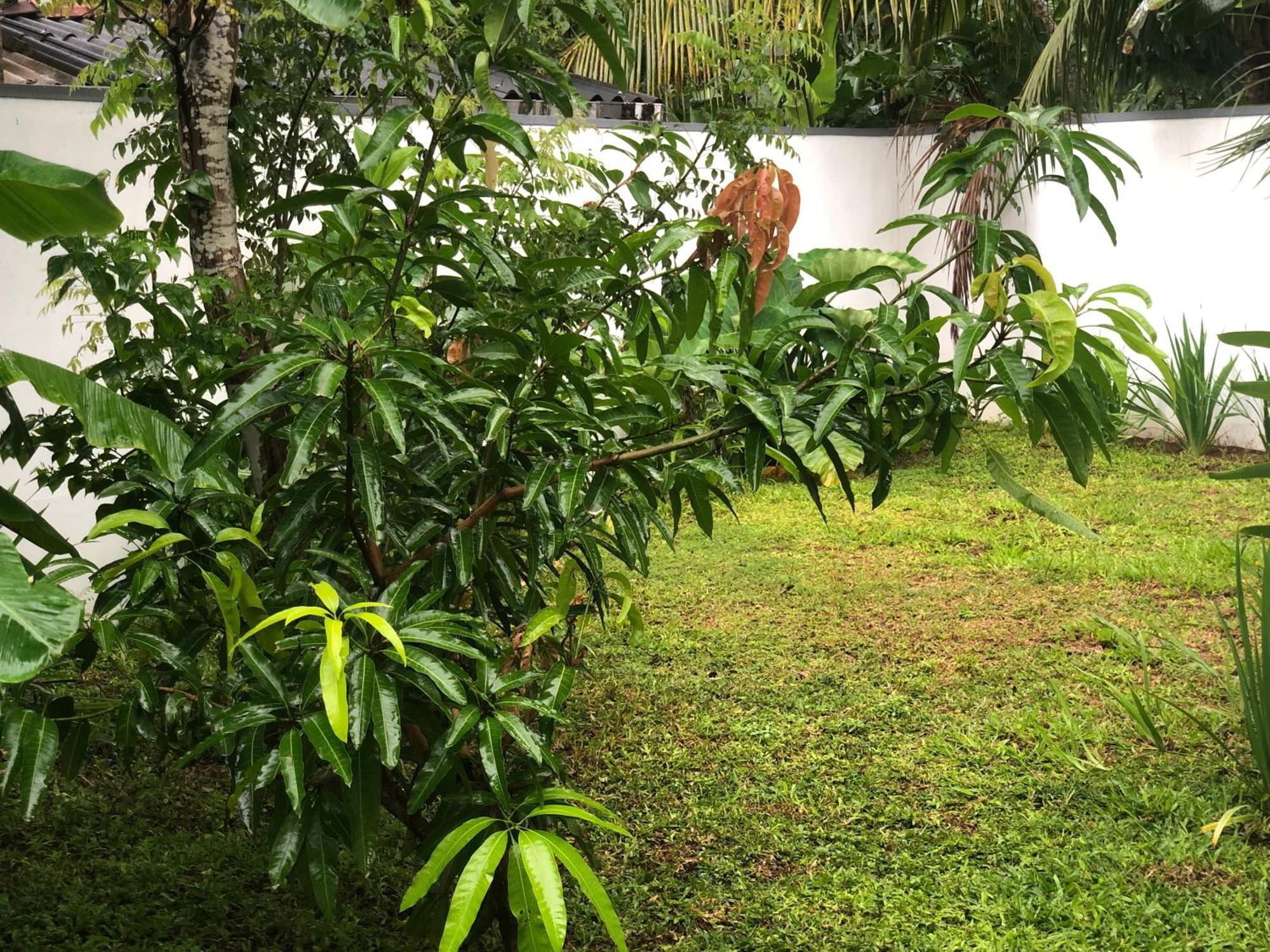 Luvi'S Villa Galle Ngoại thất bức ảnh